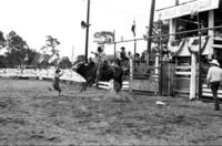 Thurman Kennedy on Bull #32