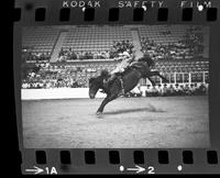 Buddy Mays on Calamity Jane