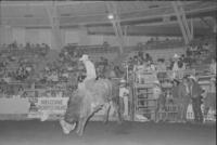 Dennis Humphrey on Bull #1