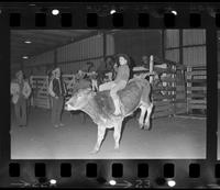 Bruce Croft, Junior Steer riding