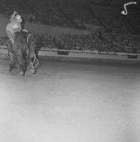 Gary Payne on Brown Jug