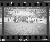 Walt Linderman Steer wrestling