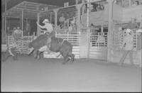 Tommy Combs & Bonnie Bostian, Award buckle