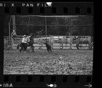 Don Coffell Calf roping