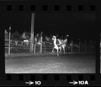 Dillards Trick riding, Larry, Billie Ann, & Mary Ann Walls