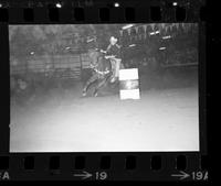 Unidentified Barrel racer