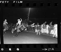 Wes Hertzog on Saddle bronc #59