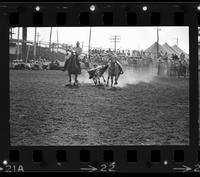 Tony Bulman Steer wrestling