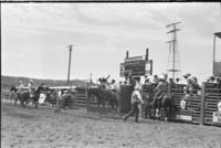 David Hyslip on Sheep Camp