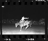 Clayton Wise on unknown Saddle bronc