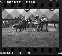 Roger Marlow calf roping