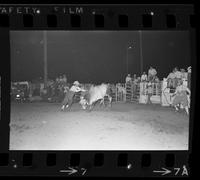 Unidentified Rodeo clown Bull fighting with Bull #44