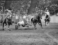 Ron Austin Steer wrestling