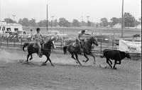 Unidentified Team ropers