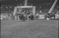 Bill Duvall Steer wrestling