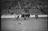 LeRoy Burden's wreck, Bull #214