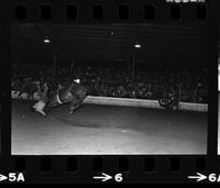 Unknown rider on unknown Bareback