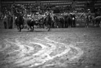 Ted Smalley Steer wrestling