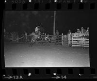Bill Paulos on Bareback #55