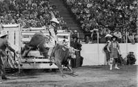 Lee Gage on Bull #-00