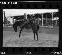 Sandy Kirby on Ridge Runner