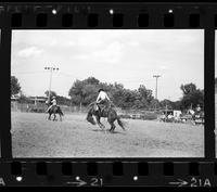 Tom Oar on Saddle bronc #66