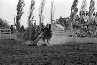 Steve Schultz Calf roping