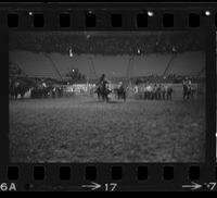 Stan Christian Steer wrestling, 4.7 Sec