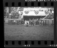 Tom Puryear Steer wrestling