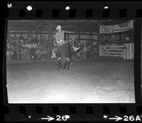 Unknown Bull rider