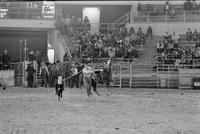 Tutt Garnett Calf roping