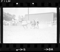 Allen Bates Calf roping