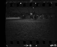 Sid Bostian Steer wrestling