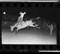 Artie Biegler on Saddle bronc #101