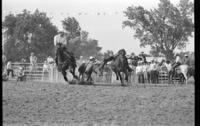 ? Helber Steer wrestling