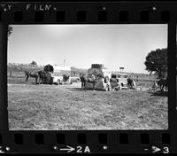 Unidentified Horse trailers