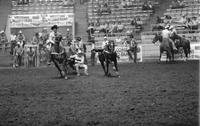 Doug Janke Steer wrestling