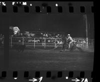 Mark Butler Calf roping