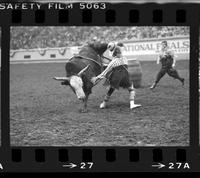 Rodeo clown Miles Hare Bull fighting with Mix Master