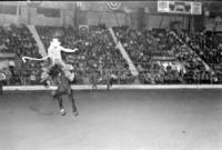 Doug Shipe on unknown Saddle bronc