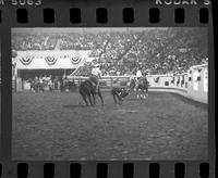 Rasco & Bradford Team roping