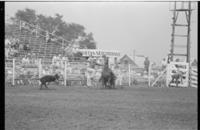 Maury Whyte Calf roping