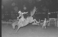 Ron Harty on Saddle bronc #70