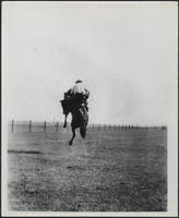 Thelma Alberta Canada, 1931 Hughie Long on final horse winner of bronc riding