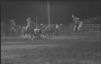 Bill Lee Steer wrestling