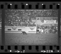 Bud Ferris Calf roping