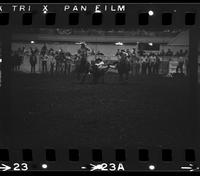 Jim Poteet Steer wrestling