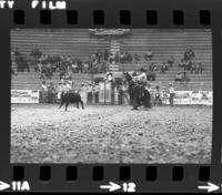 Butch Bude Calf roping, 2nd Perf.