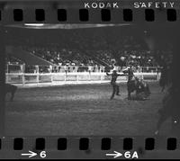 Zane Tibbets Calf roping