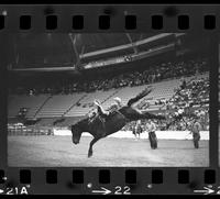 Jerry Coble on Calamity Jane